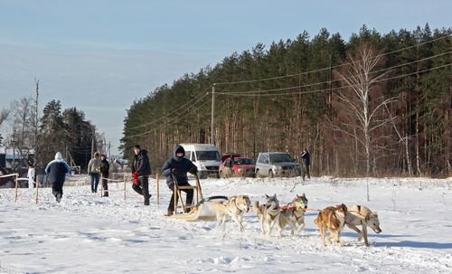 Зимний корпоративный праздник - 2012