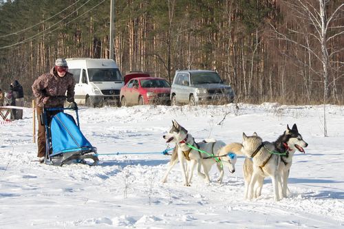 Зимний корпоративный праздник - 2012