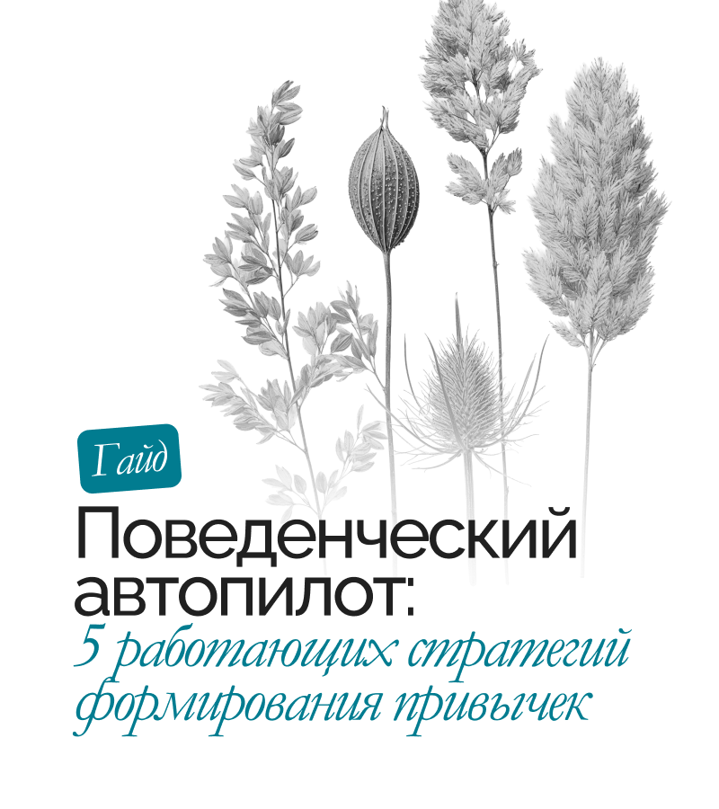 Гайд «Поведенческий автопилот»